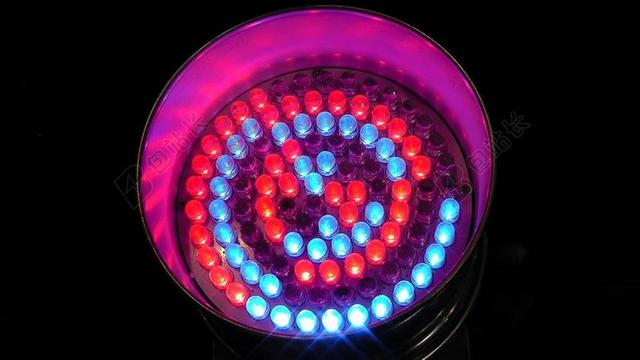 发光二极管 领导 LED 的灯 聚光灯 现场 光线 光 颜色