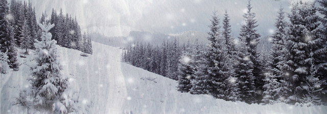 冬至雪景