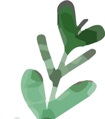 植物绿叶装饰素材