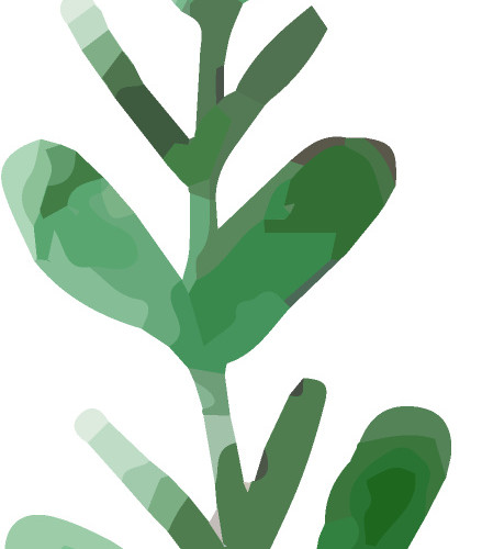 植物绿叶装饰素材