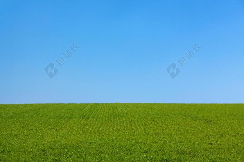 背景 蓝色 清洁 清除 一天 原野 自由 草 绿色 景观