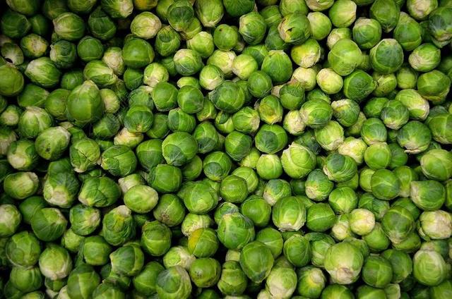 布鲁塞尔豆芽 豆芽 卷心菜 杂货 甘蓝 小 食品 蔬菜 成分
