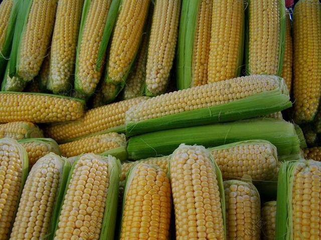 玉米 甜点 食品
