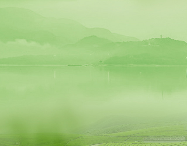 茶叶背景
