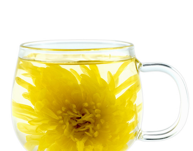 金丝皇菊茶