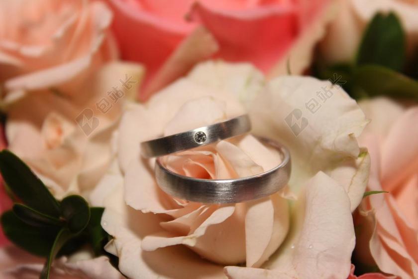 婚礼白色玫瑰上的银色戒指背景图片