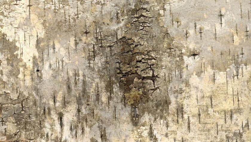 树皮 那些 纹理 背景 剪贴簿 艺术 工艺 元素