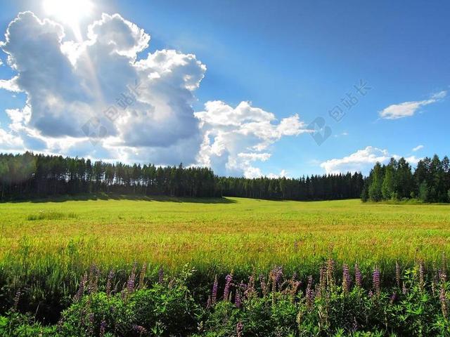 绿色大自然景观草原云朵背景图片