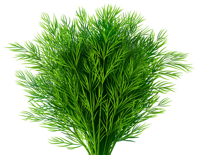 蔬菜果蔬素材
