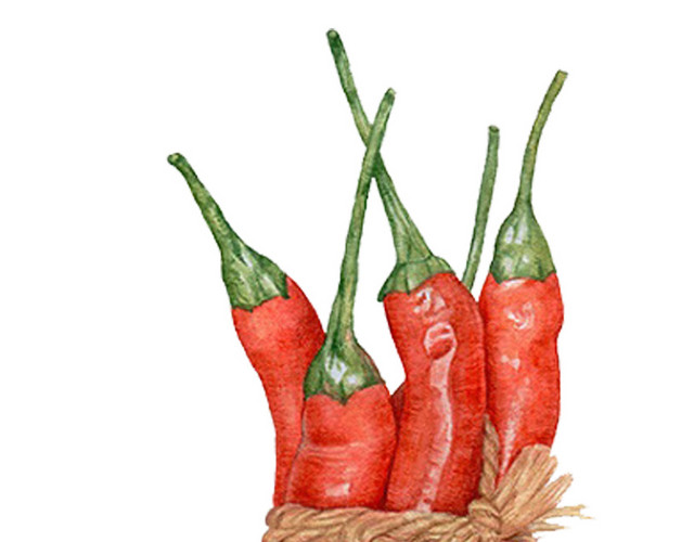 蔬菜果蔬素材