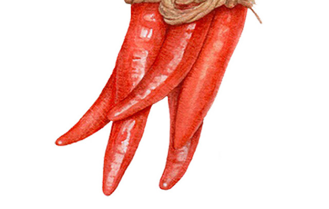蔬菜果蔬素材