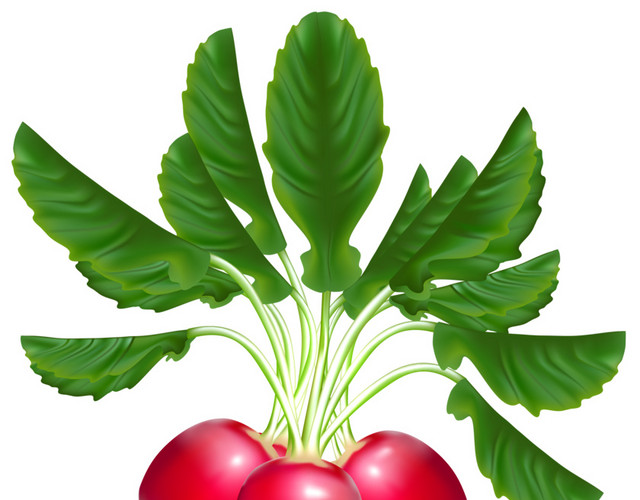 蔬菜果蔬素材
