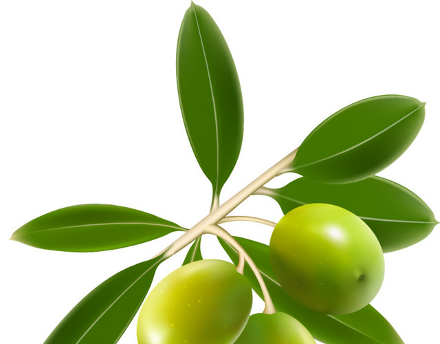 蔬菜果蔬素材
