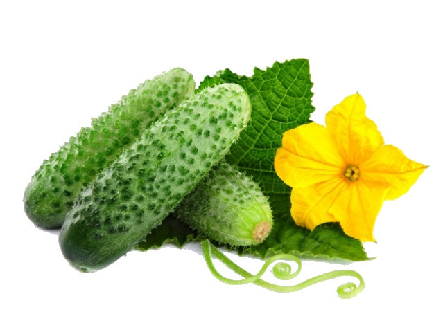 蔬菜果蔬黄瓜素材