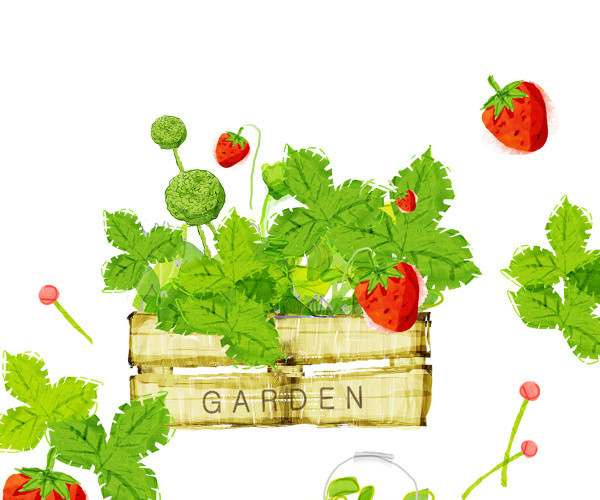 手绘草莓