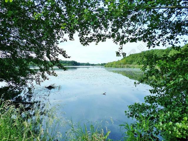 湖 湖景 水 性质 韦恩斯德费尔湖 水域 景观