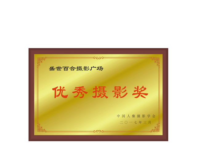 奖牌设计免费下载   奖牌  设计  荣誉奖牌  企业奖牌
