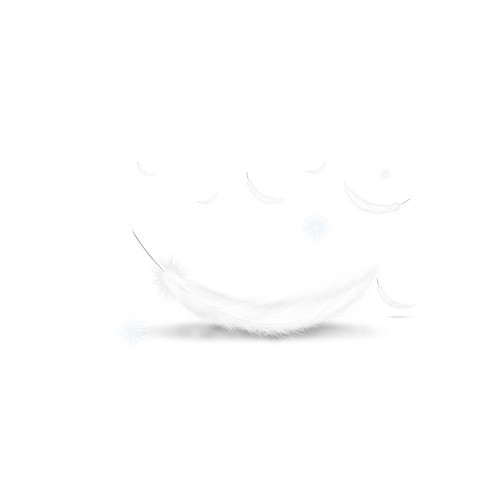 羽毛