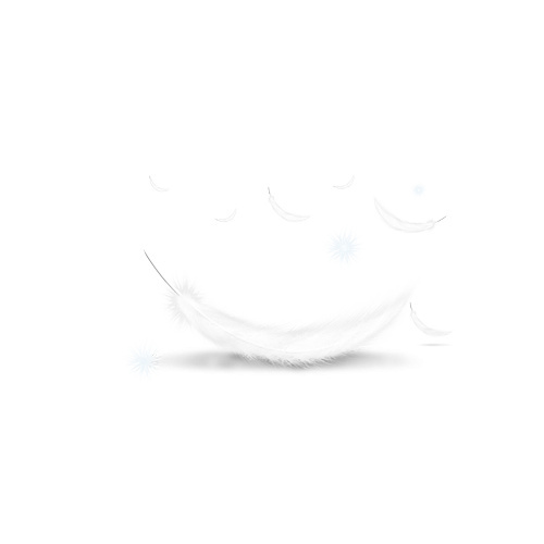 羽毛