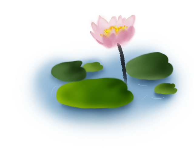 夏至手绘淡彩莲花