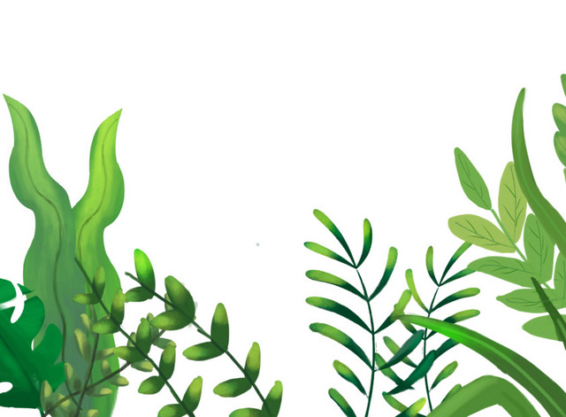 海洋公园海底世界水草绿色植物纯