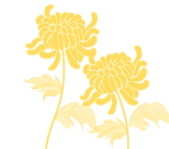 矢量秋菊