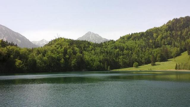 ALATSEE 阿尔高 牧歌 水 仍 夏季 山 天气好 景区