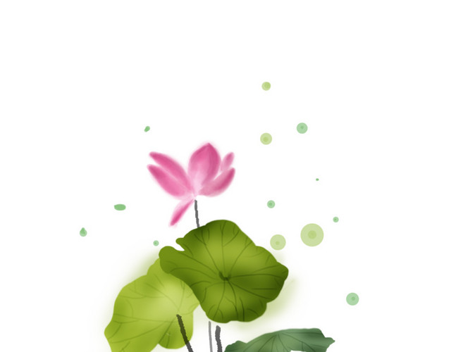 夏至手绘淡彩莲花