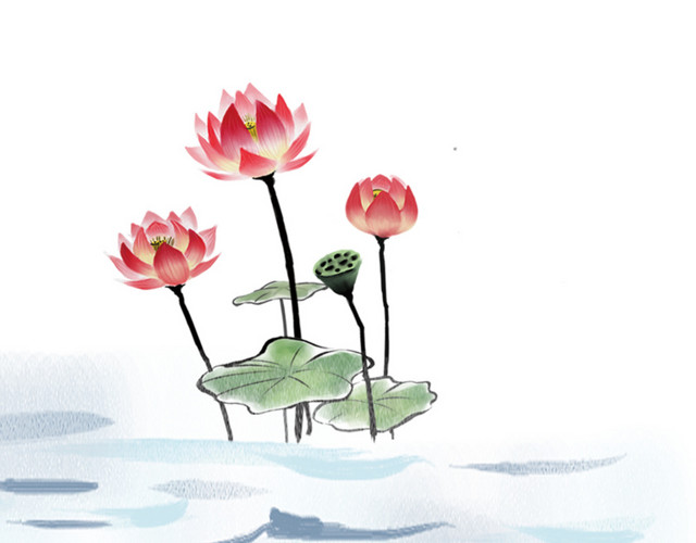 水墨荷花