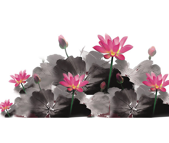 水墨荷花