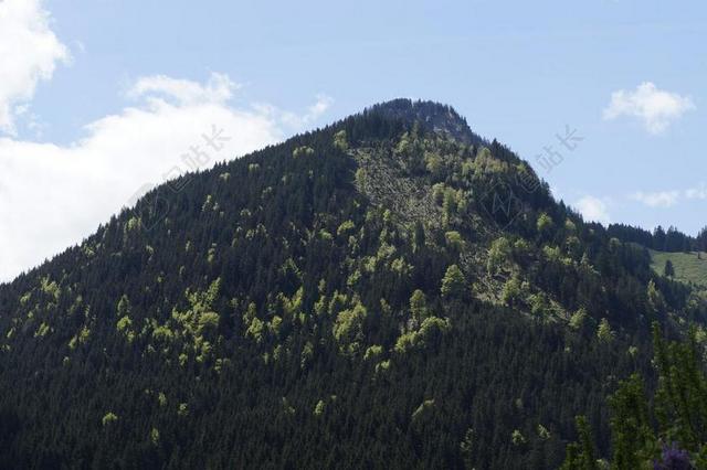 山 阿尔高 高山 景观 徒步旅行 性质 展望 森林