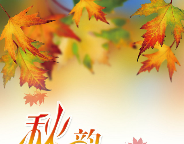 秋韵秋季