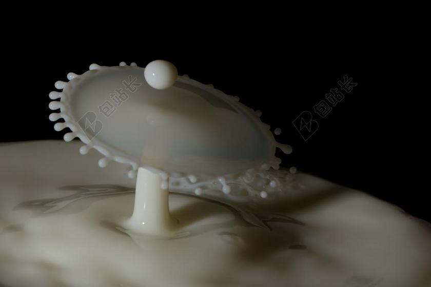 白色液体牛奶水滴背景图片