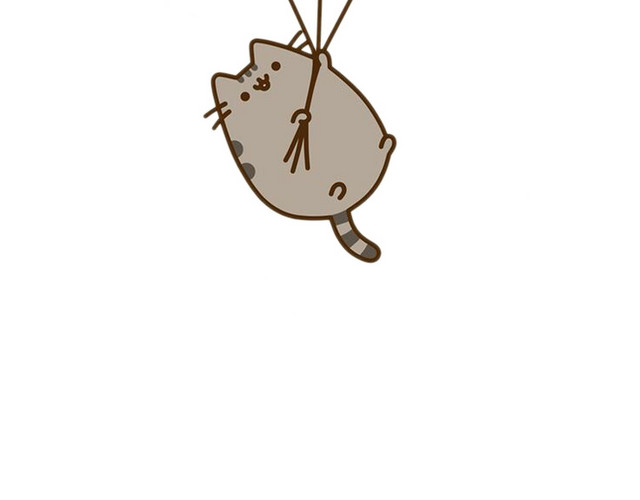 抓着气球升空的猫