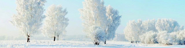 冬天背景BANNER
