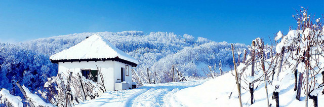 冬天雪景BANNER创意设计