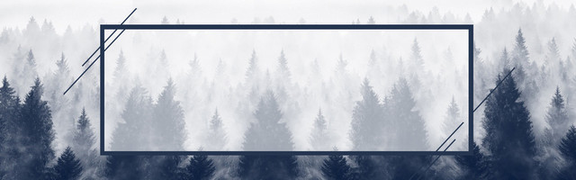 BANNER 松树 冬天