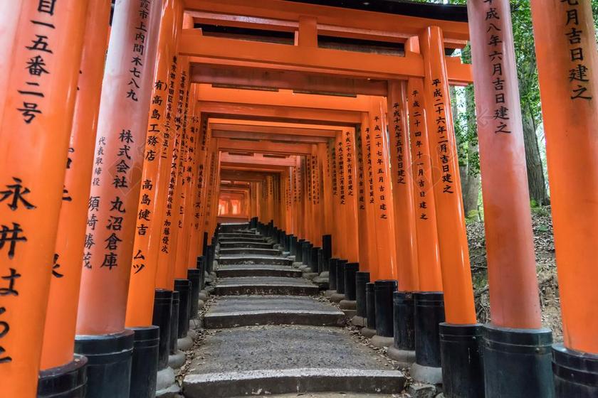 伏见 INARI 寺 京都 日本 里程碑 著名 寺 门 红色