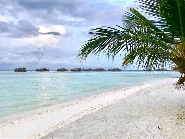 海滩度假风景马尔代夫背景图片