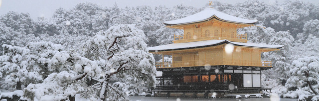 冬天雪景BANNER创意设计