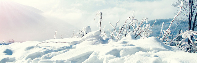 冬天雪景BANNER创意设计