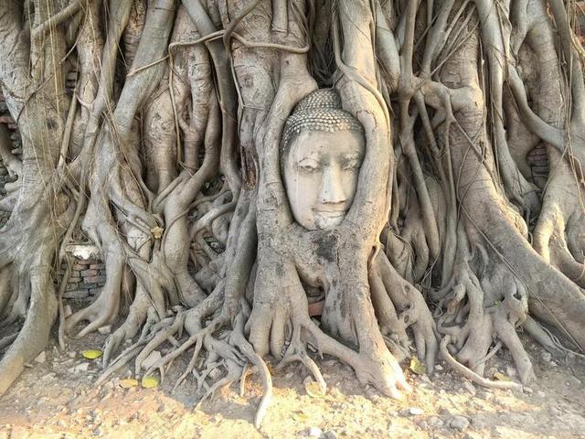 泰国 名胜古迹 建设 旅行 值得一看 AYYUTTHAYA 历史