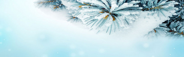 冬天背景BANNER
