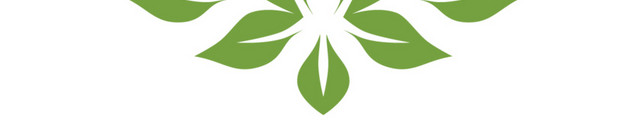 矢量橄榄叶素材