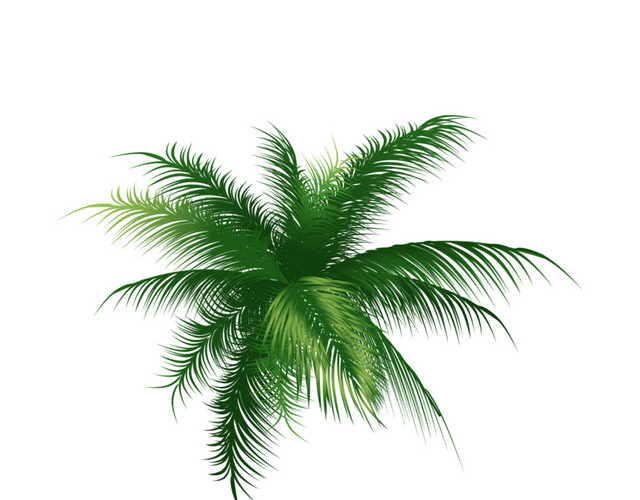 椰子树矢量素材