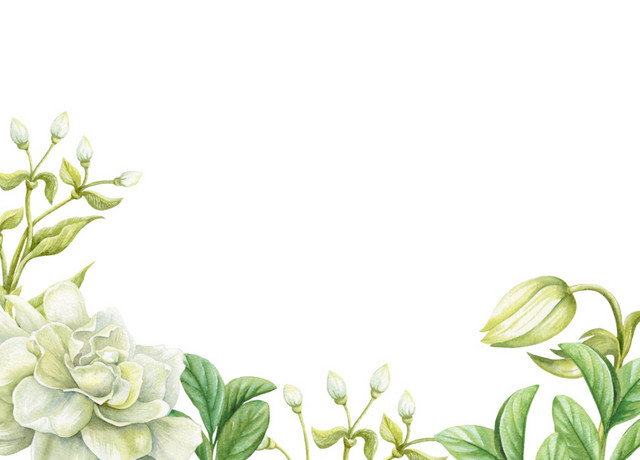 绿色手绘花朵边框