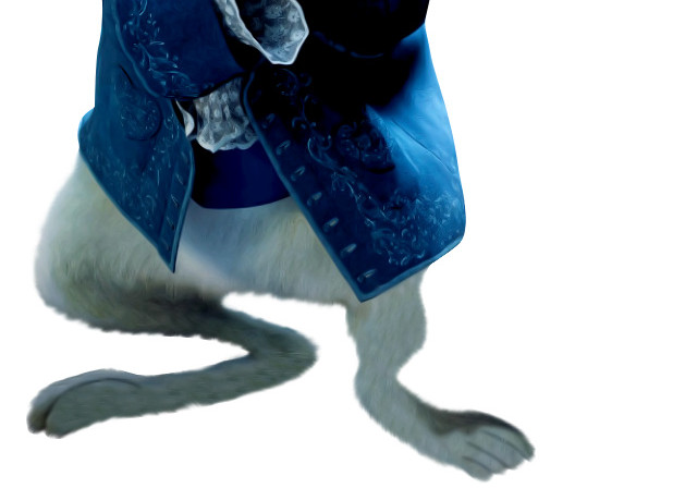 兔子