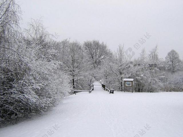 白色雪地寒冷冬天景观背景图片