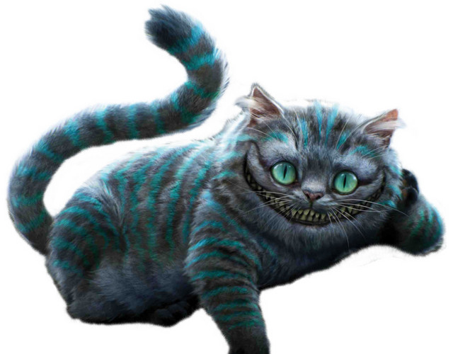 童话里的猫
