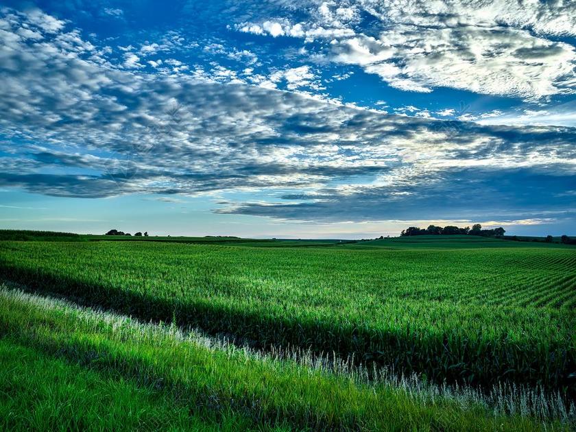 田园农场作物晴空万里背景图片